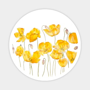 yellow poppy ink and watercolor Magnet